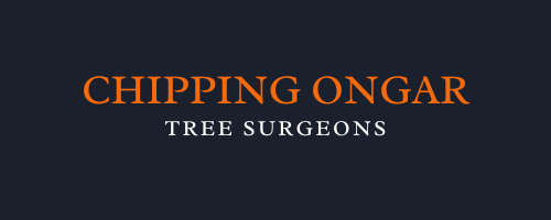 Chipping Ongar Tree Surgeons